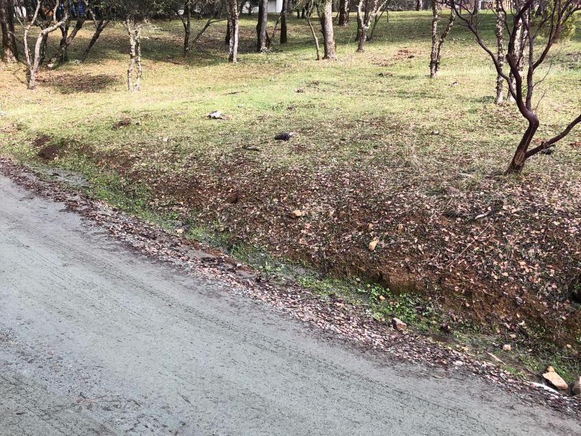 Defensible space around drives and roadways