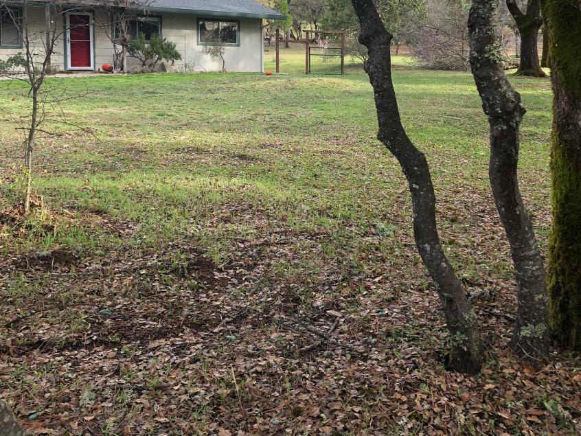 Defensible space around home